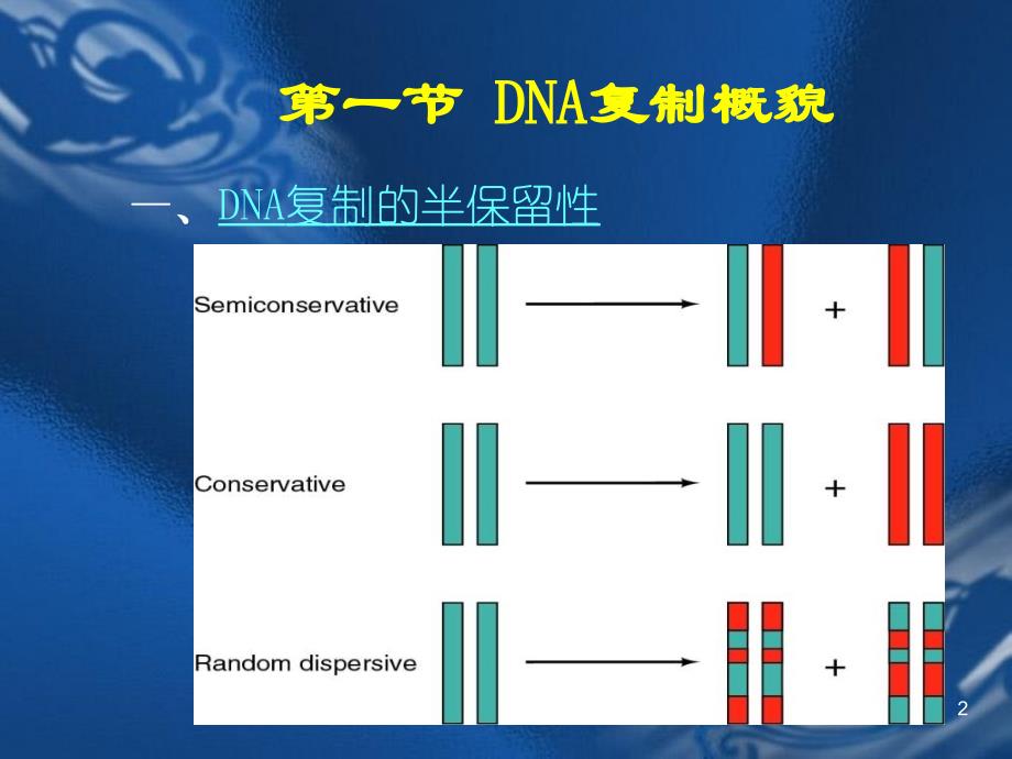 大学分子生物学：DNA的复制演示课件_第2页