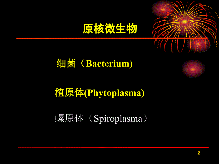 园林植物病理学第三章植物病原细菌和其它原核生物演示课件_第2页