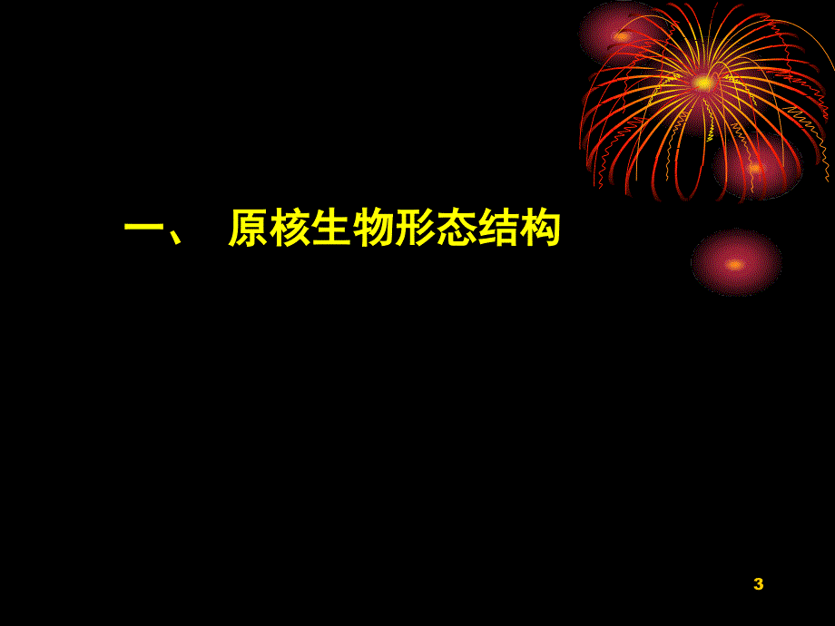 园林植物病理学第三章植物病原细菌和其它原核生物演示课件_第3页