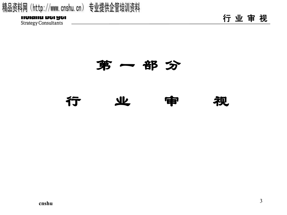 某公司战略实施方案研讨_第3页