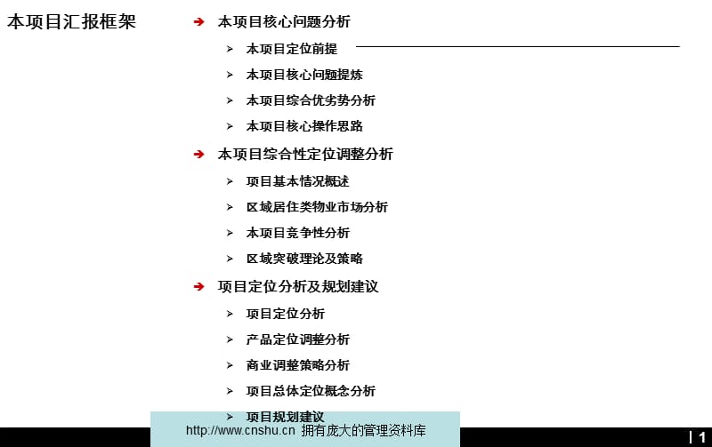 某集团项目综合优劣势分析_第1页