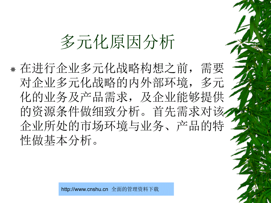 某集团多元化战略管理构想_第3页