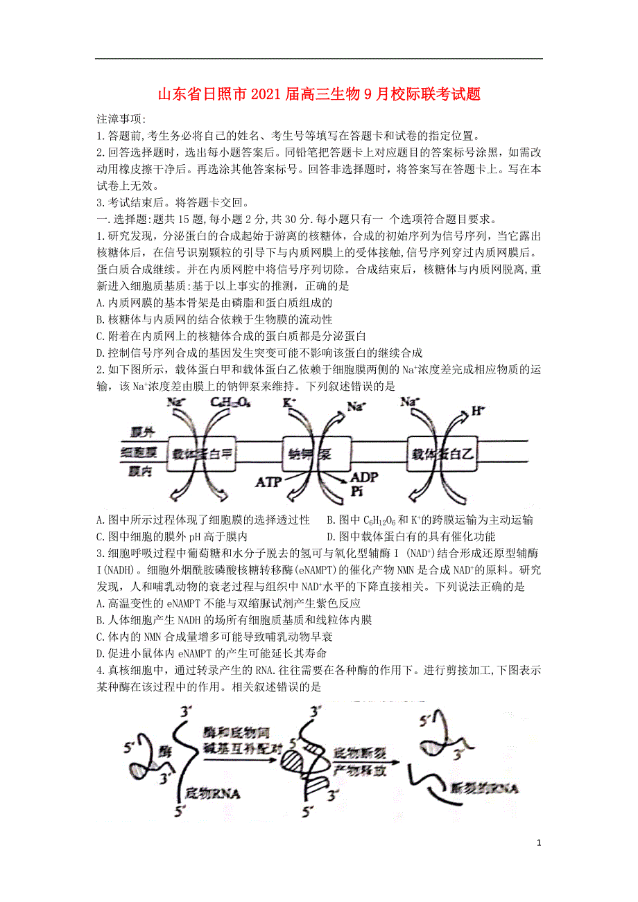 山东省日照市2021届高三生物9月校际联考试题30_第1页