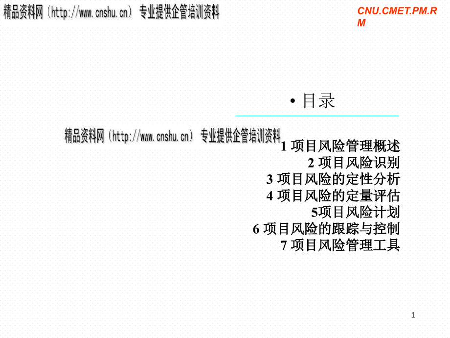 某企业项目的风险管理讲义_第1页