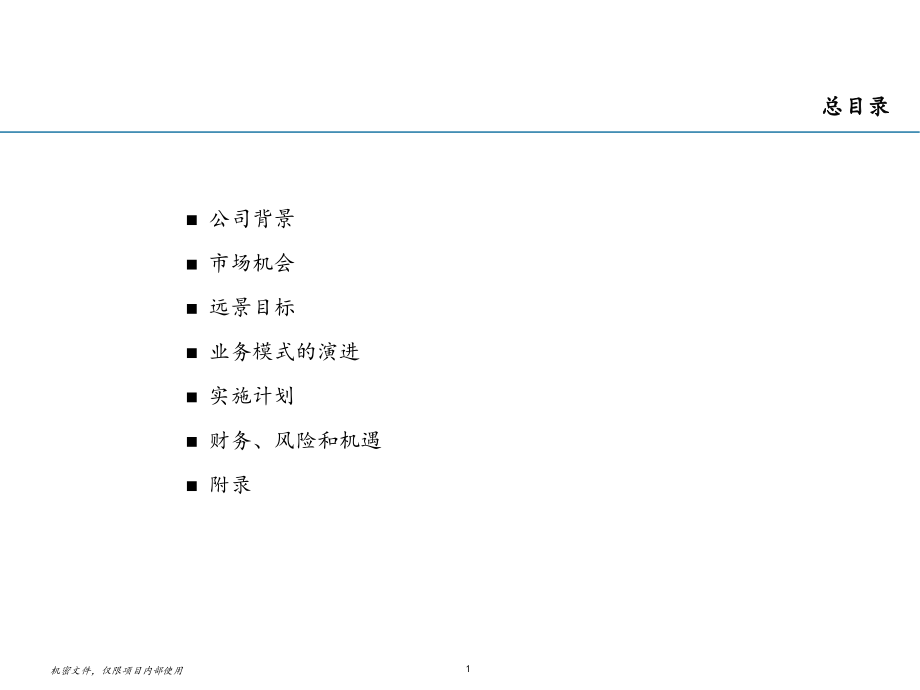 某航空公司发展战略商业计划项目报告_第1页