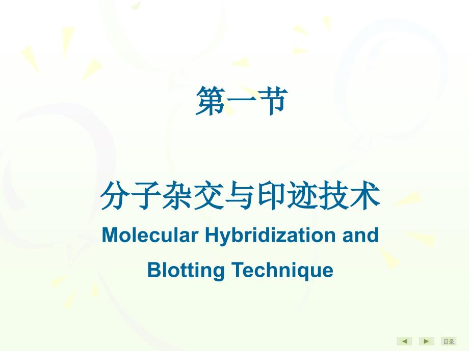 常用分子生物学技术的原理及其应用演示课件_第3页