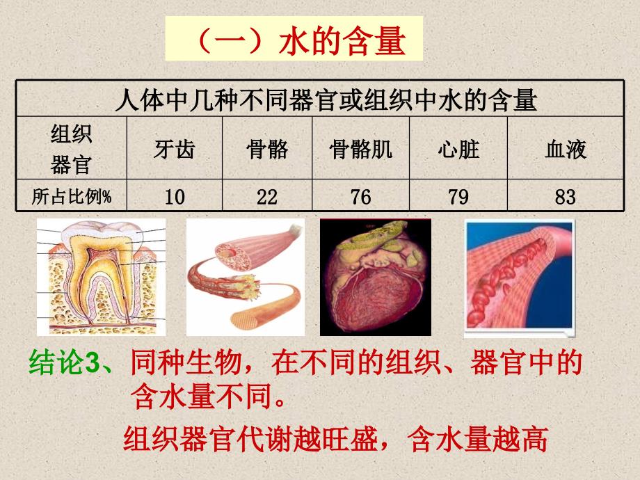 高中生物必修一第二章 2 .5第细胞中的无机物_第4页