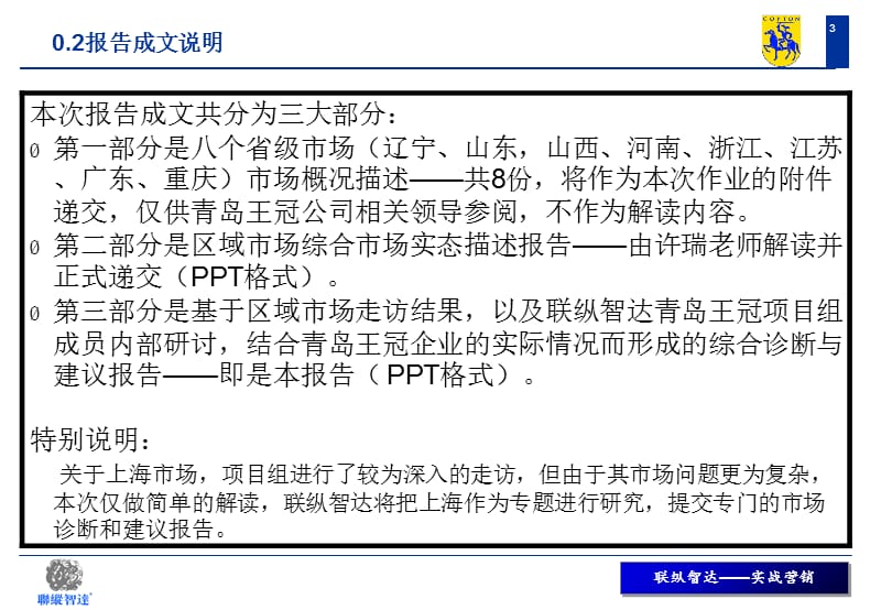 某石油化学有限公司市场诊断及建议报告_第3页