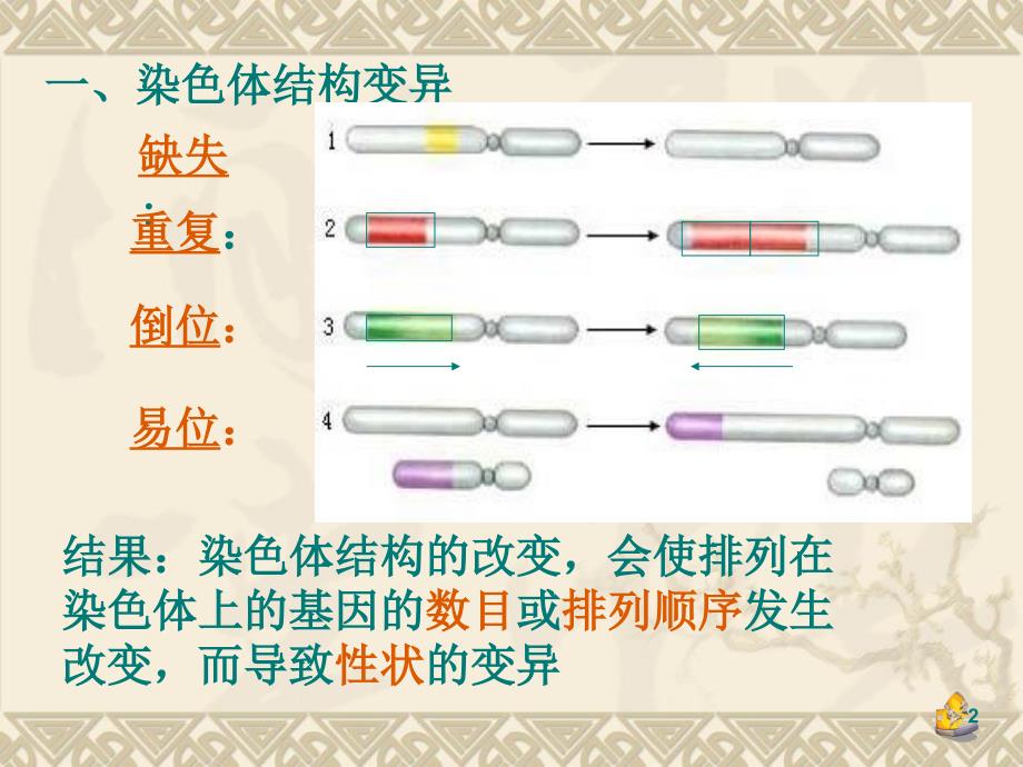 高中生物染色体变异的课件新人教版必修演示课件_第2页