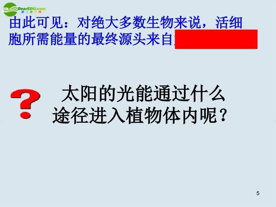 好高中生物光合作用课件新人教版必修演示课件_第5页