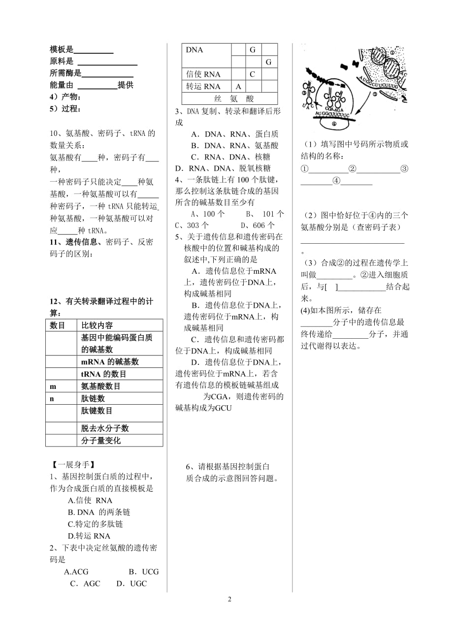 第三节 基因控制蛋白质的合成 学案3.doc_第2页