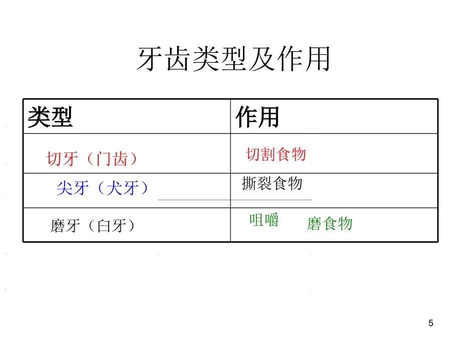 浙教版九年级科学上册第四章代谢与平衡复习演示课件_第5页