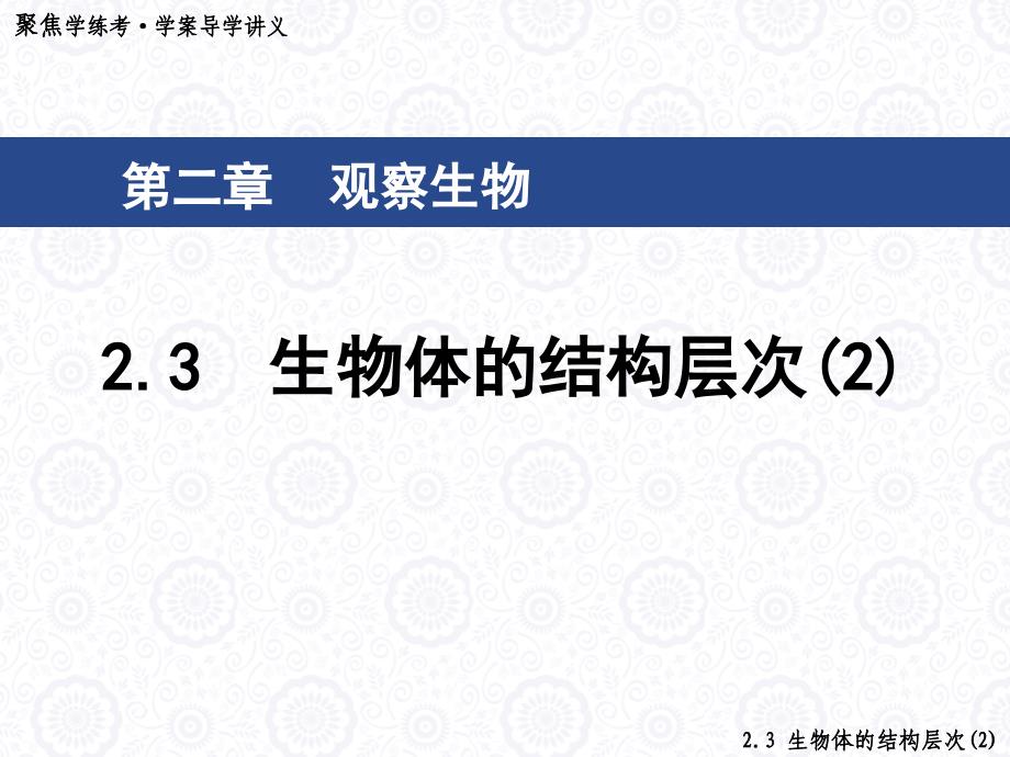 生物体的结构层次(5)演示课件_第1页