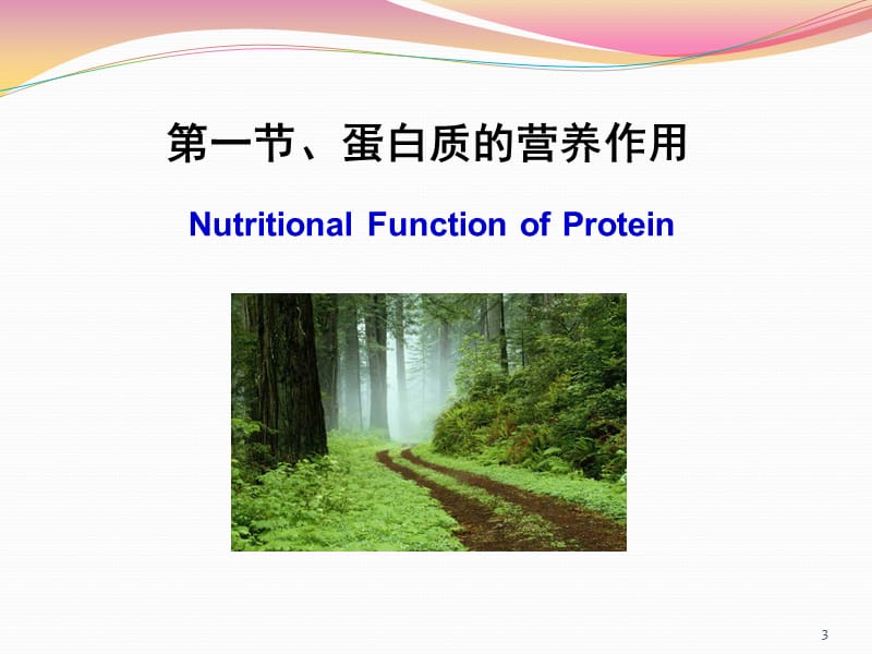 生物化学第八章氨基酸代谢演示课件_第3页