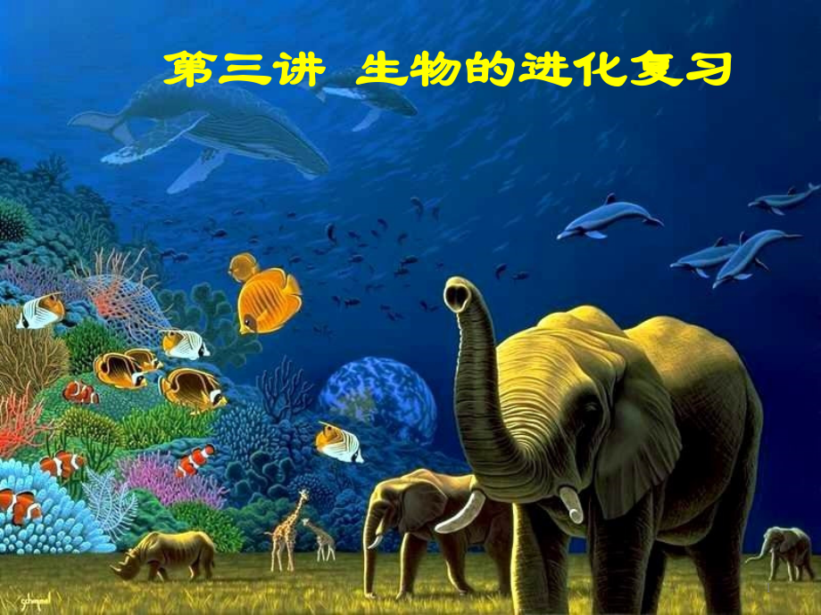 高三复习：生物的进化演示课件_第1页