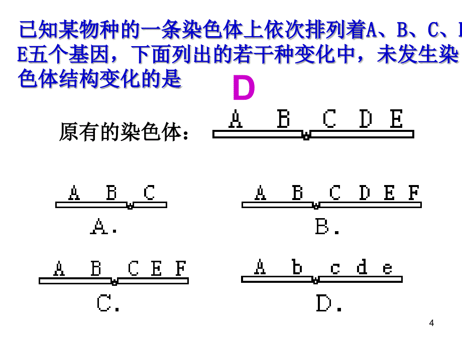 生物第2节染色体变异演示课件_第4页