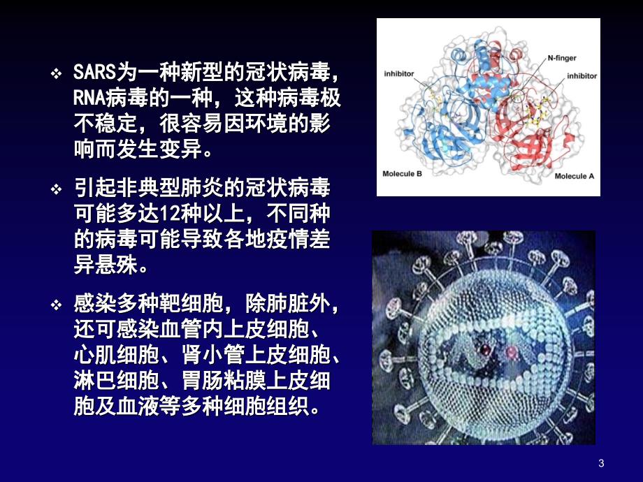 高一走进细胞人教版演示课件_第3页