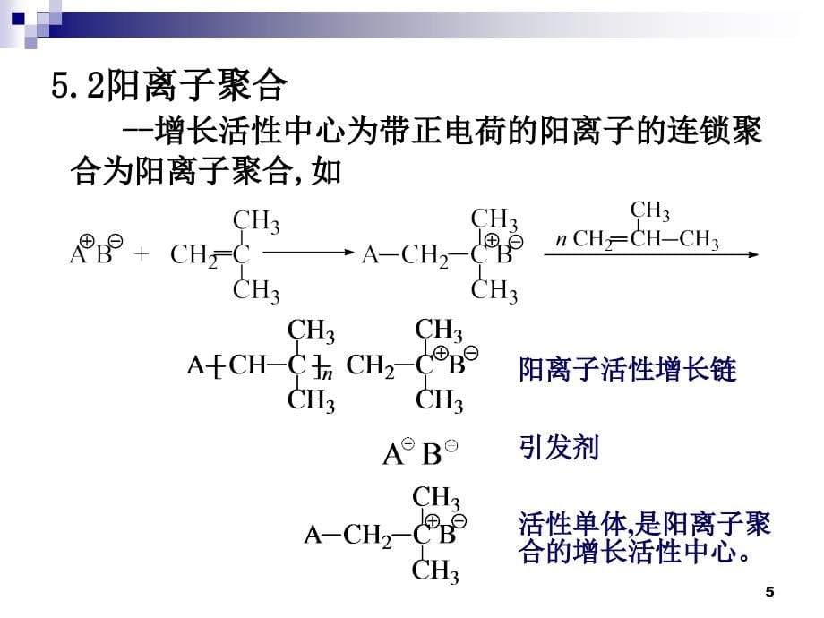 高分子化学第5章离子聚合演示课件_第5页