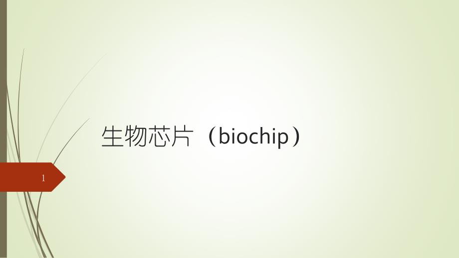 生物芯片biochip报告演示课件_第1页