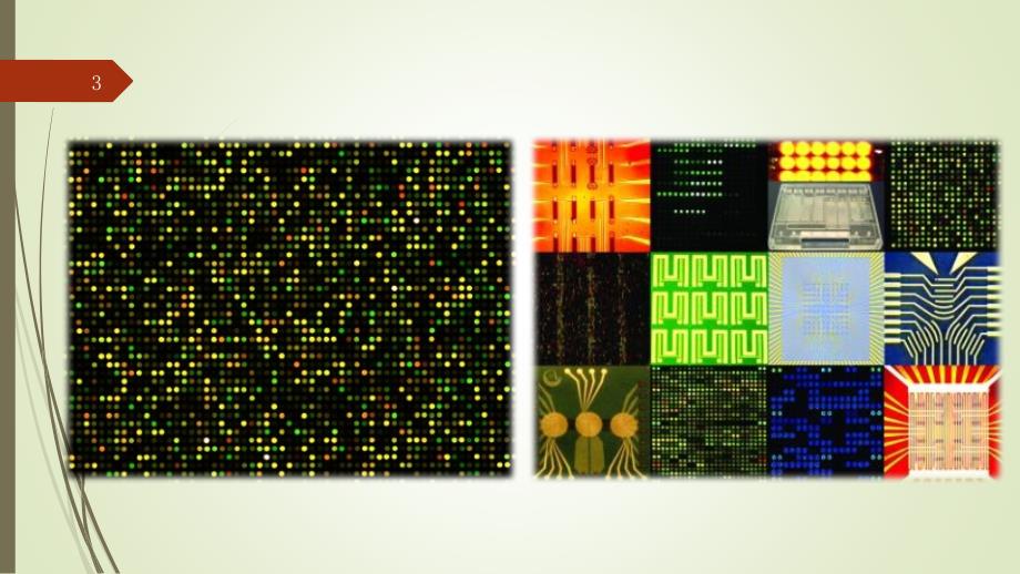 生物芯片biochip报告演示课件_第3页