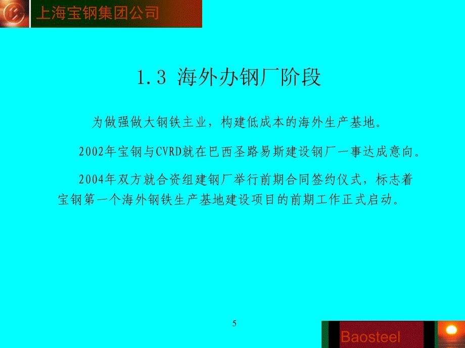 钢铁企业国际化的经营历程_第5页