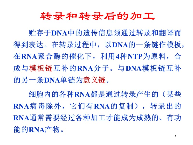 生物化学第36章RNA的生物合成和加工演示课件_第3页