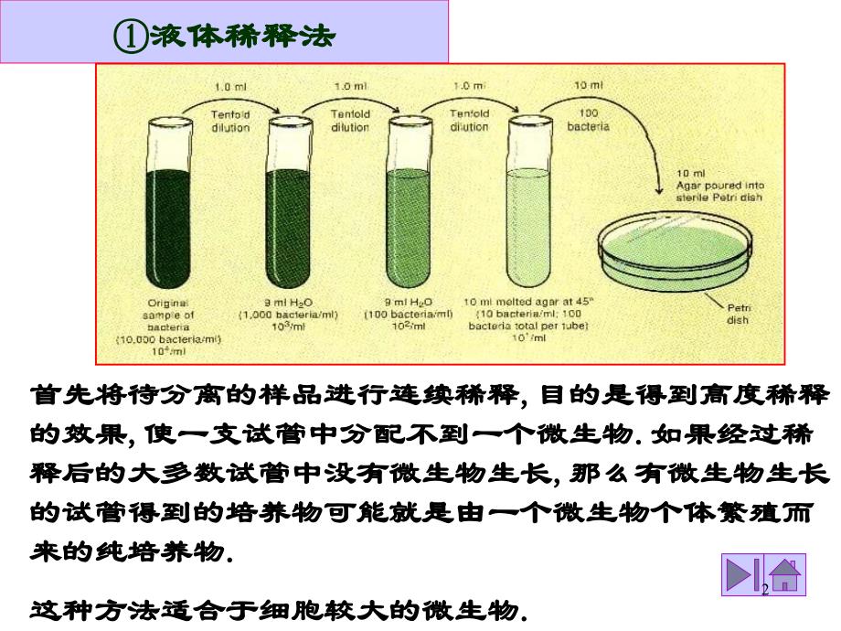 微生物的培养及生长规律演示课件_第2页