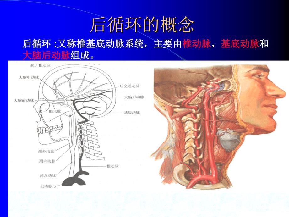 后循环缺血._第2页