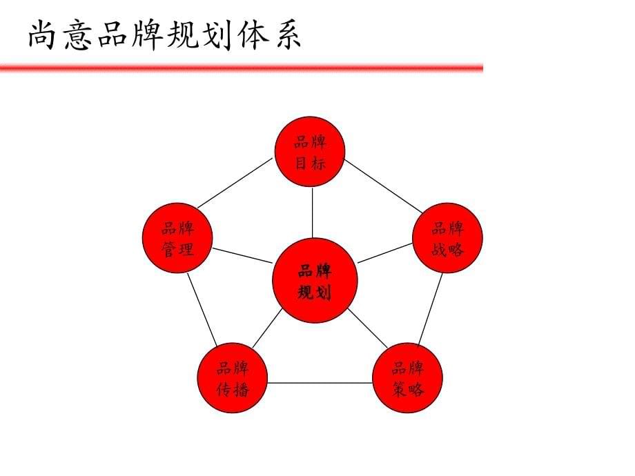 知名广告公司常用品牌管理工具_第5页