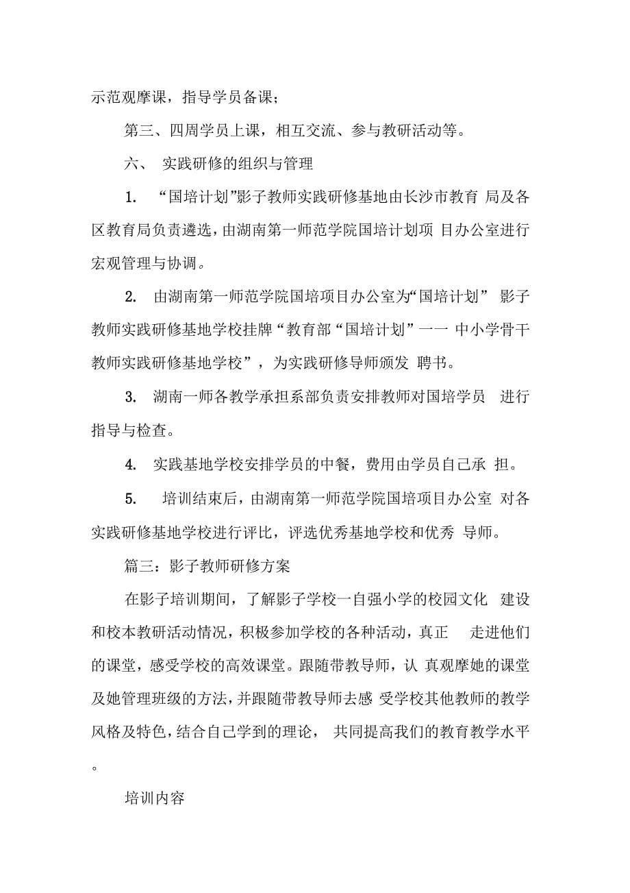 202X年影子教师研修方案_第5页