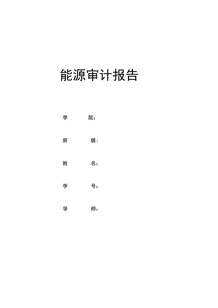 276编号能源审计报告_第1页