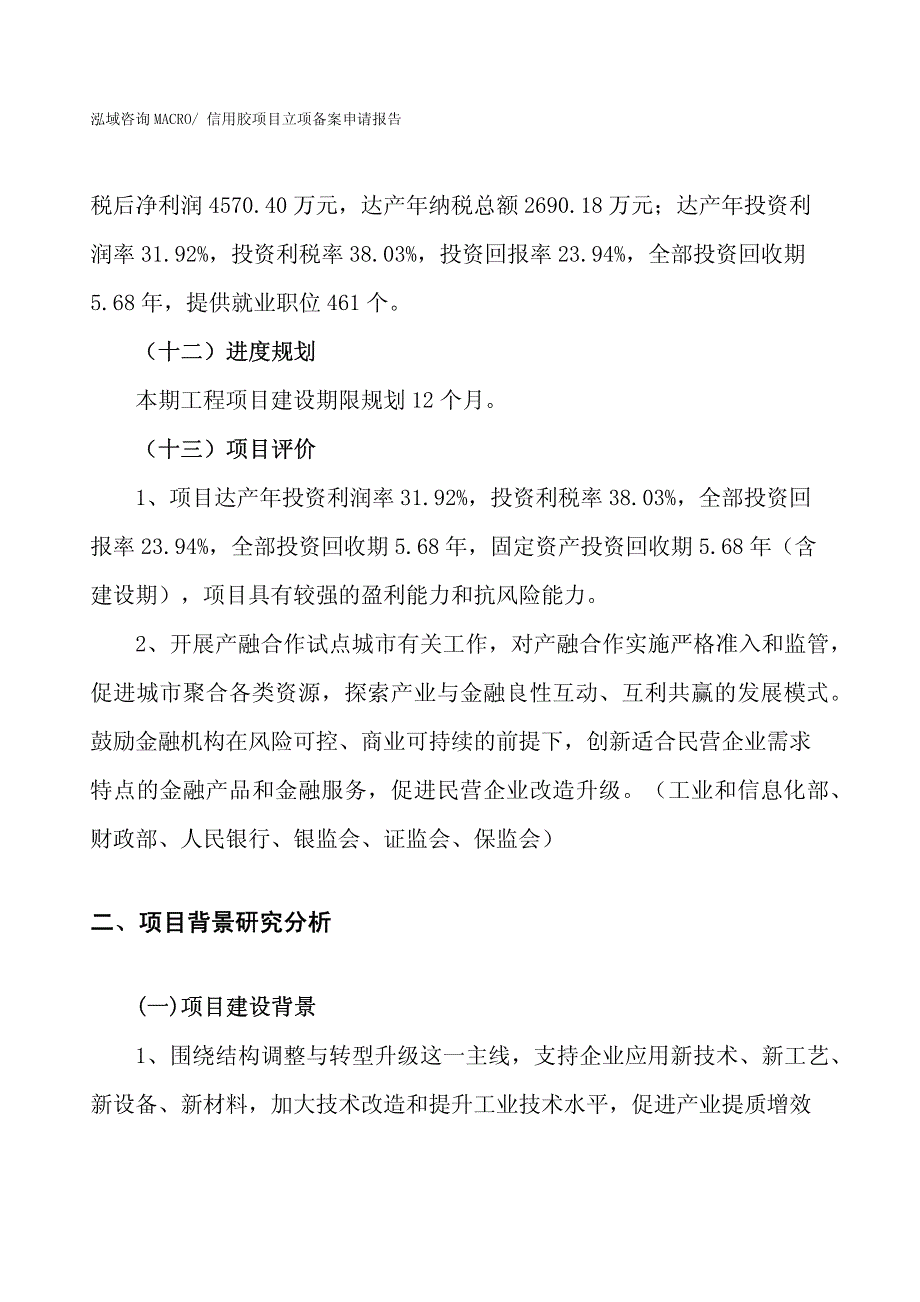 信用胶项目立项备案申请报告_第4页