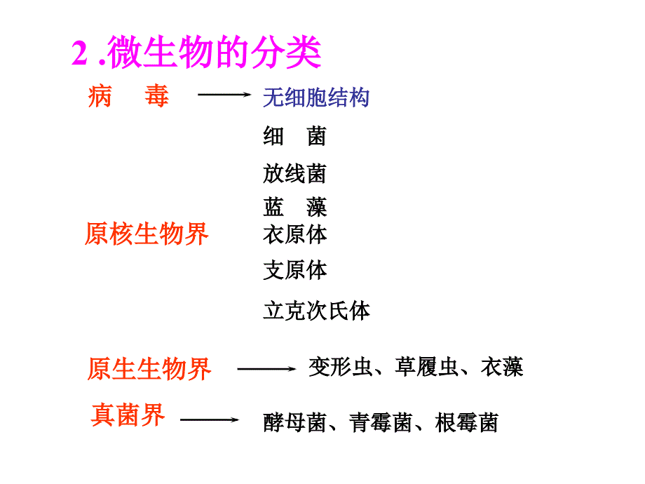 果酒果醋的制作（好）课件_第4页