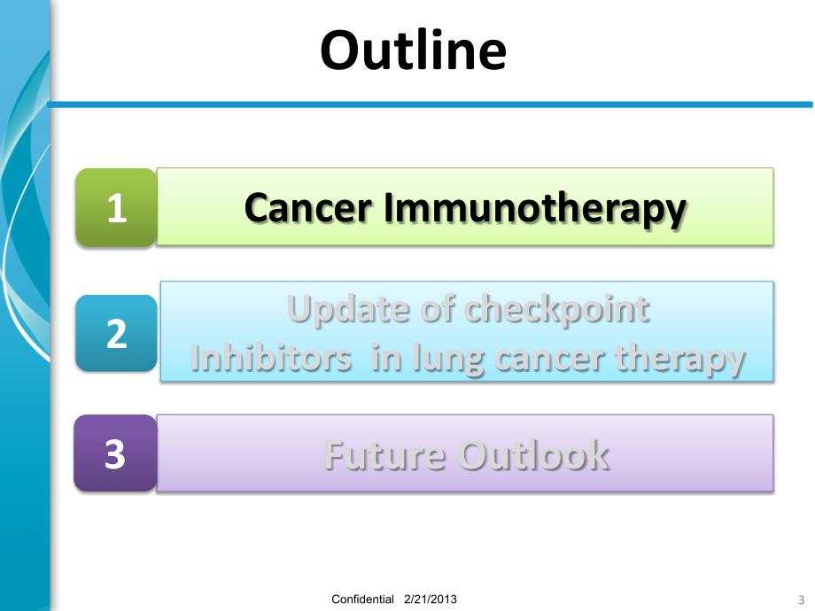 肺癌免疫治疗进展课件_第3页