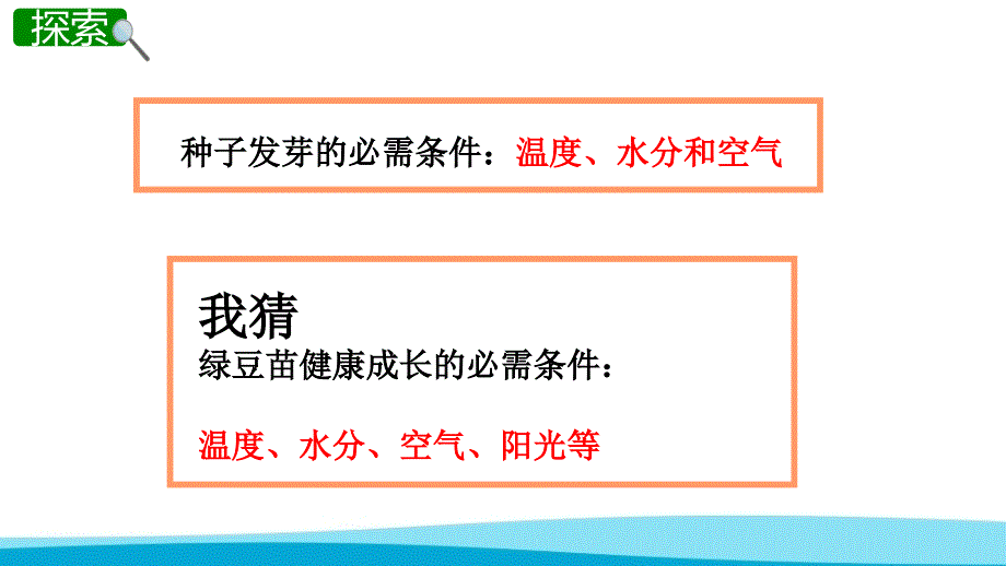 教科版小学科学五年级上册课件观察绿豆芽的生长PPT（附同步教案）_第3页