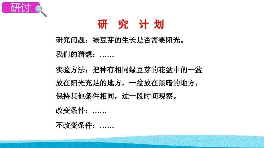 教科版小学科学五年级上册课件观察绿豆芽的生长PPT（附同步教案）_第5页