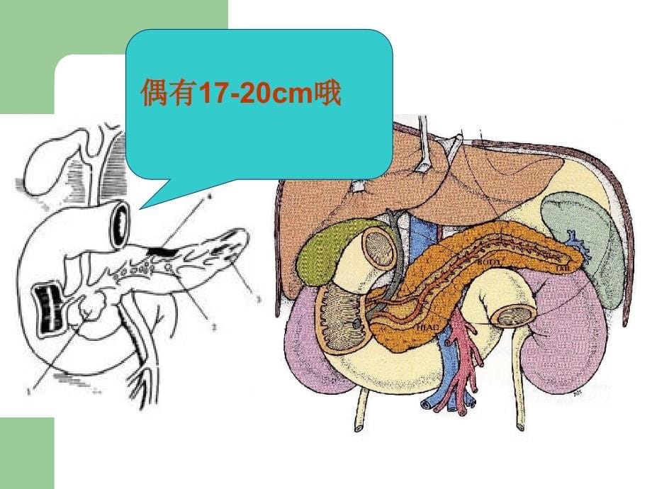 急性胰腺炎病人的护理13375_第5页