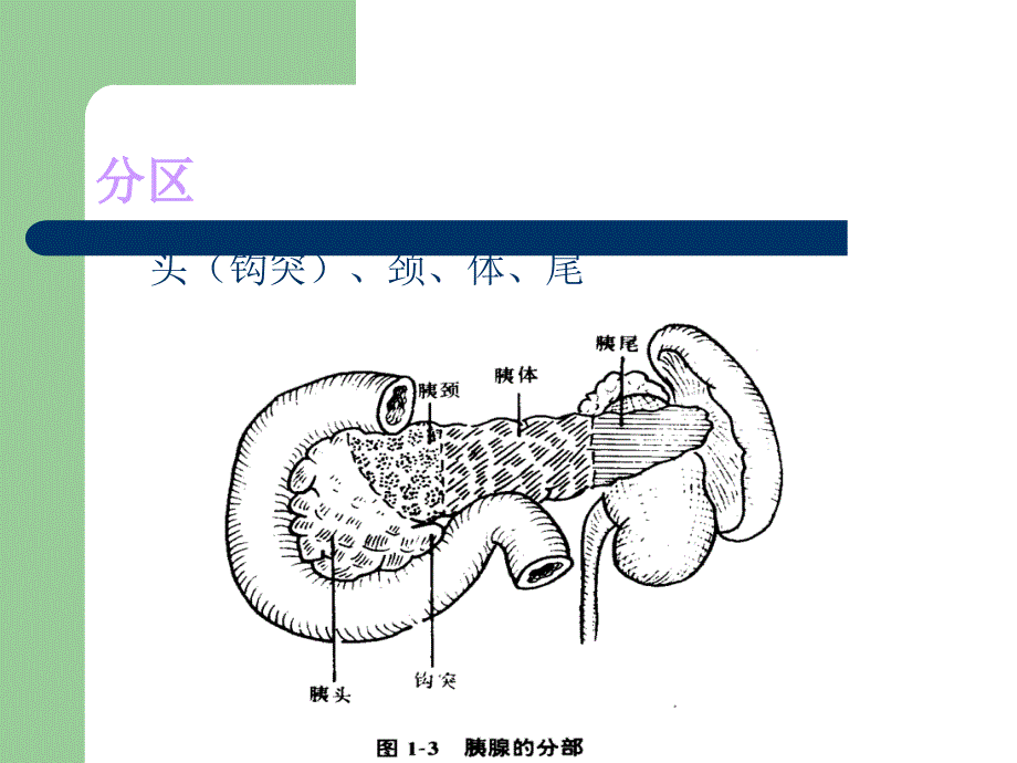 急性胰腺炎ppt11571_第3页