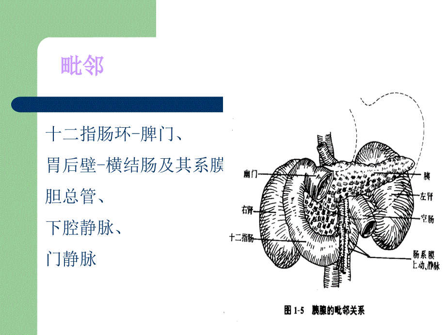 急性胰腺炎ppt11571_第4页