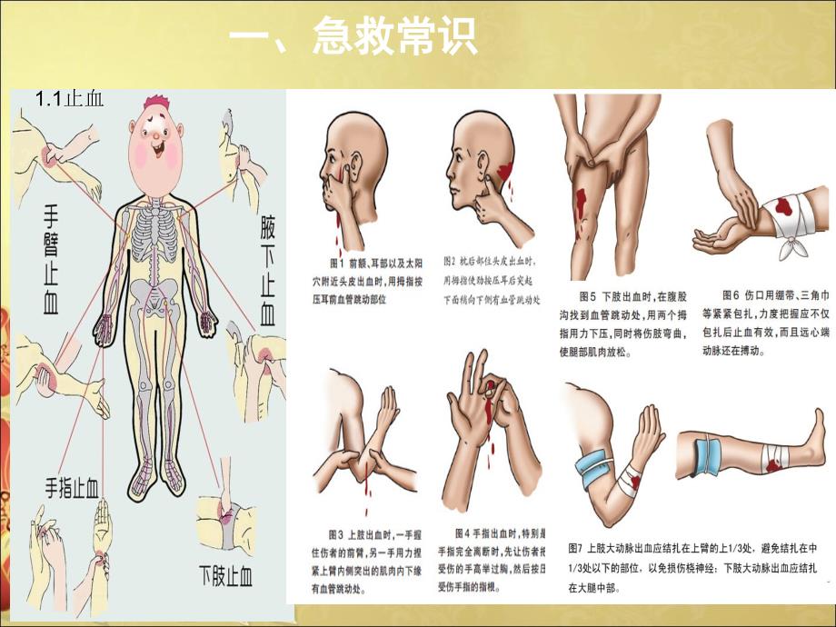 急救箱管理培训_第3页