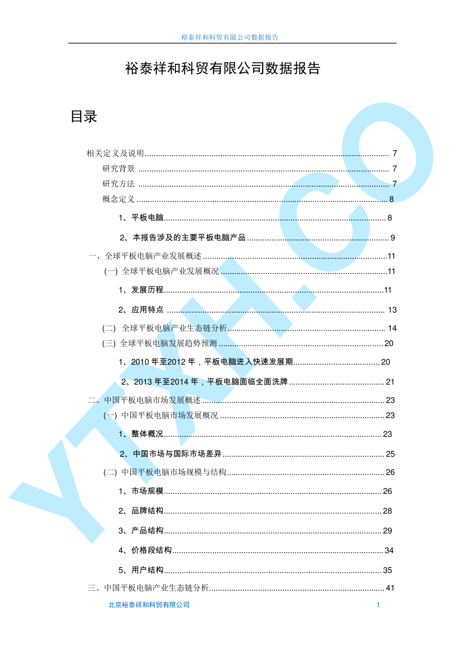 平板电脑项目市场数据分析报告_第2页