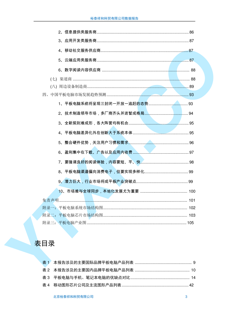 平板电脑项目市场数据分析报告_第4页