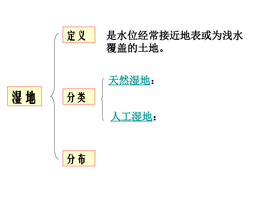 湿地公开课优质课课件_第3页