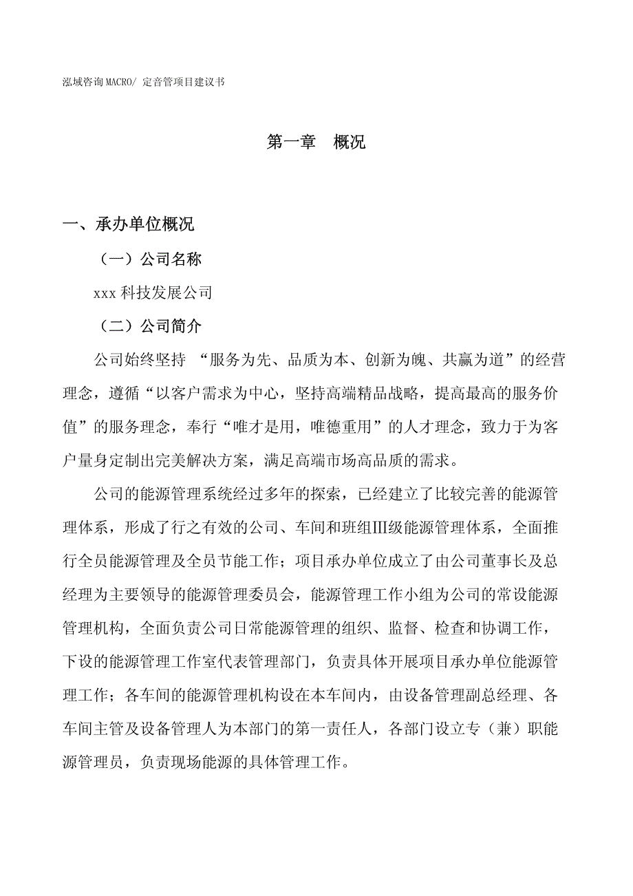 定音管项目建议书(投资17300万元）_第1页