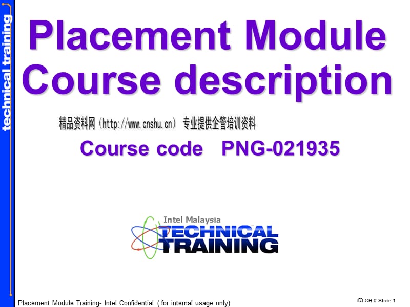 Placement Module Course description（英文版）_第1页