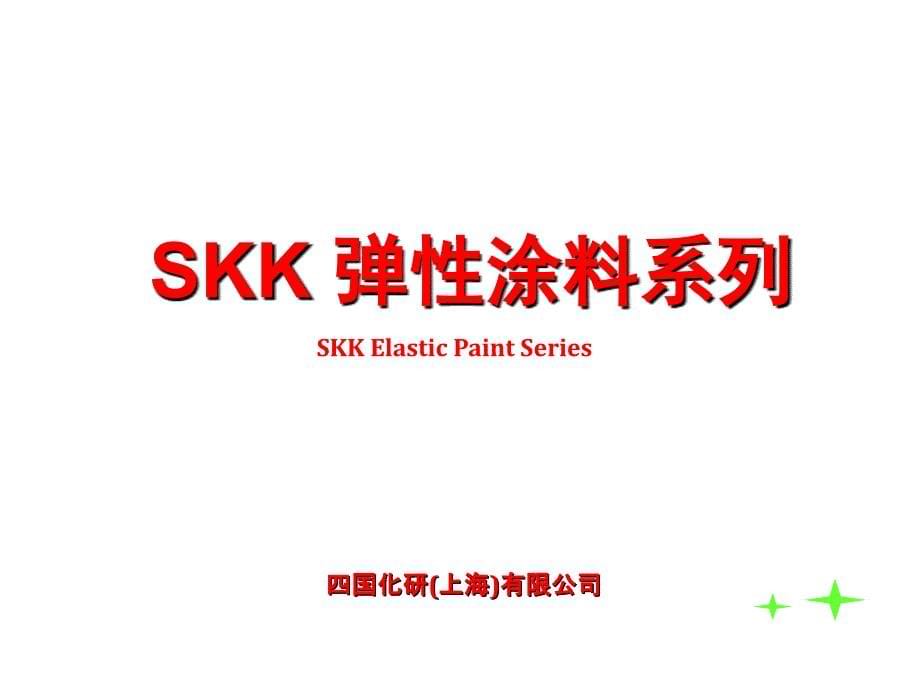 SKK涂料工艺、工程实绩_第5页