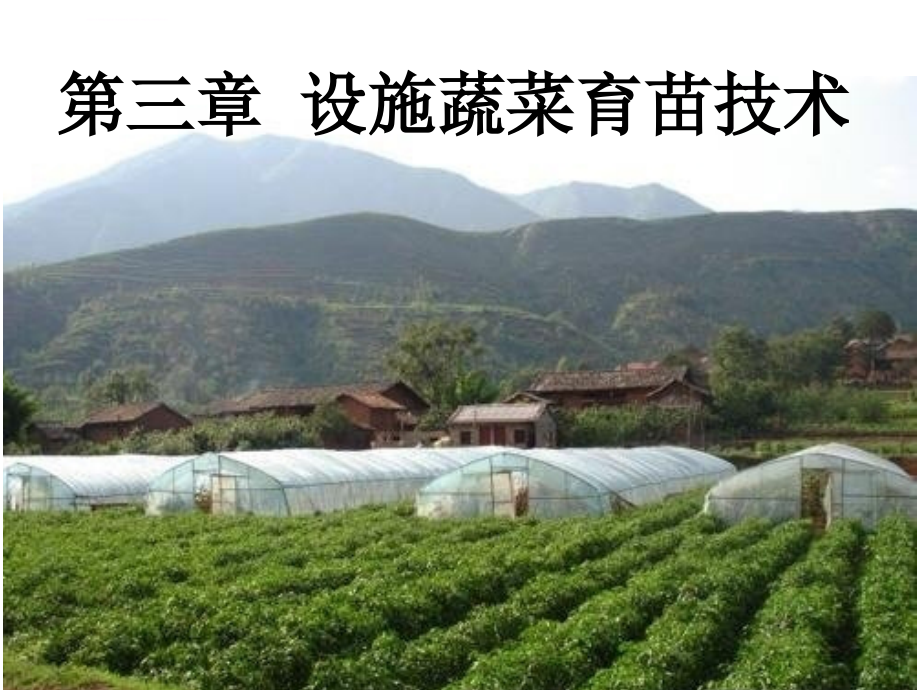 第三章设施蔬菜育苗技术课件_第2页