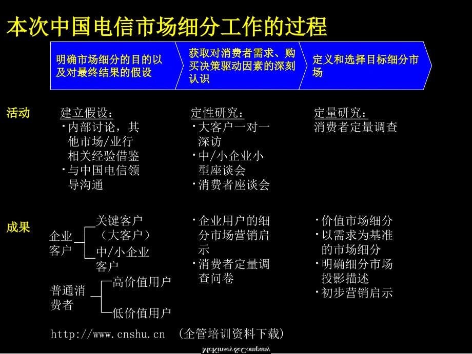 中国电信产品与市场细分研究报告_第5页