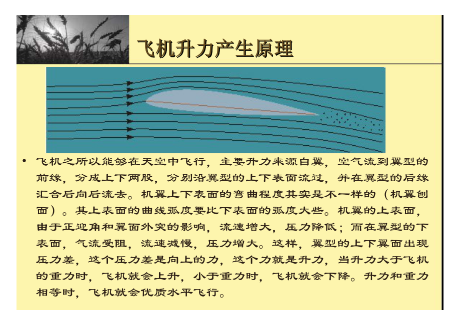 空中乘务员培训课件_第2页