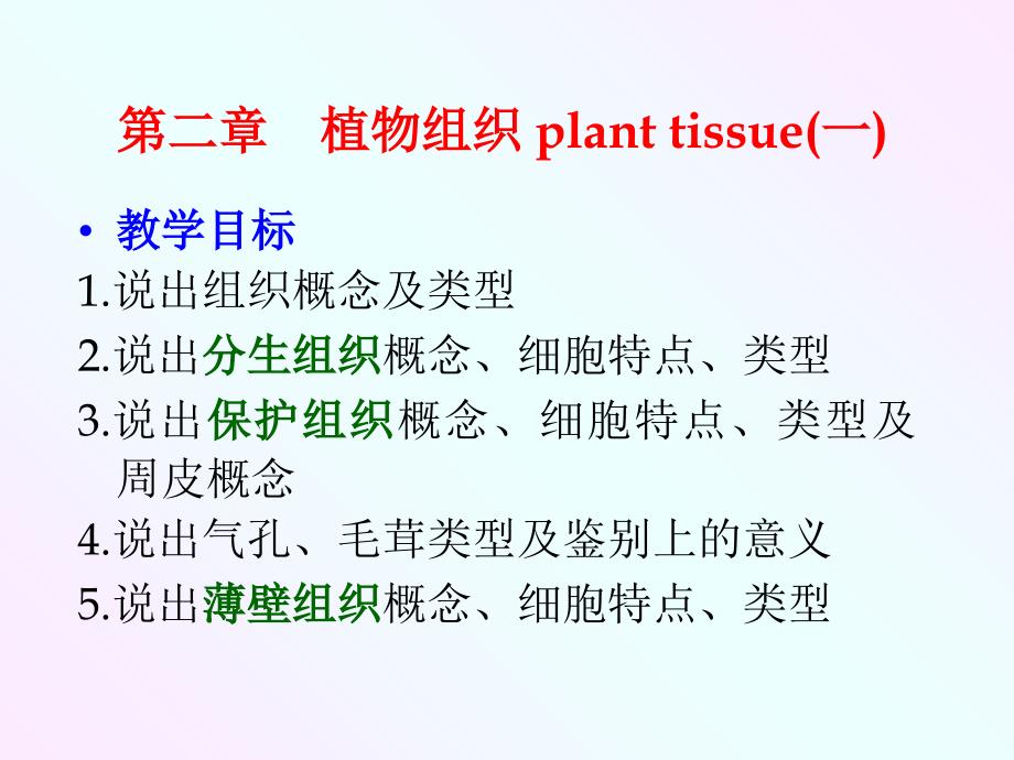 药用植物学：植物组织课件_第2页